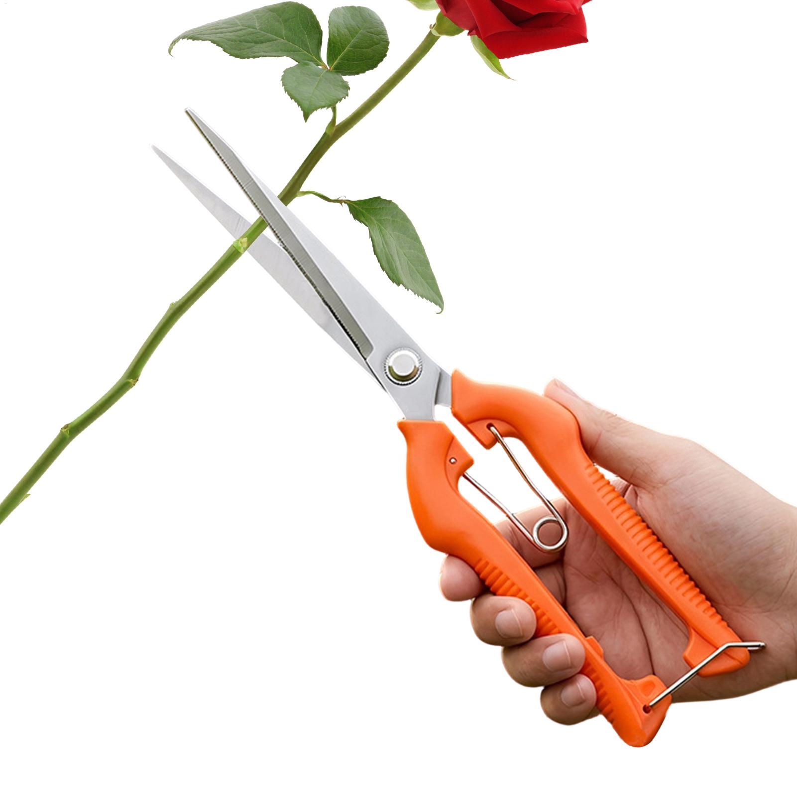 Bonsai Garden Knife - Pruning Shears Grape Scissors Garden Tool