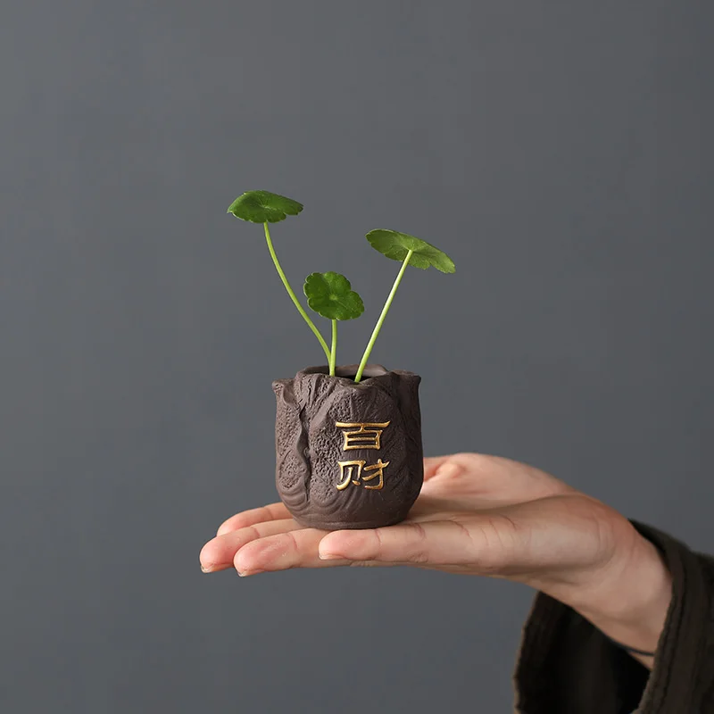 Creative Purple Clay Tea Pet F - огляд і ціна Bonsai Garden Ornaments