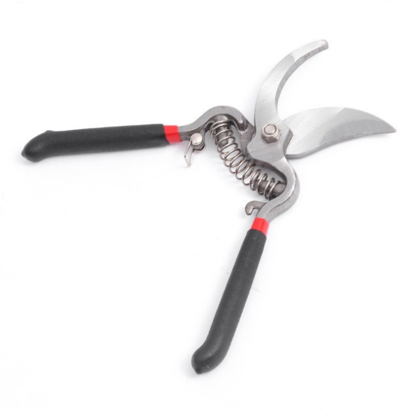 Pruner Garden Scissors Graftin - огляд і ціна Bonsai Garden Knife