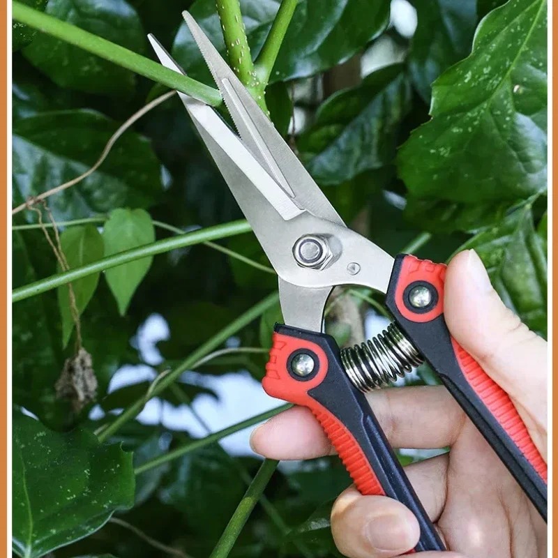 NEWSHARK Stainless Steel Pruni - огляд і ціна Bonsai Garden Knife