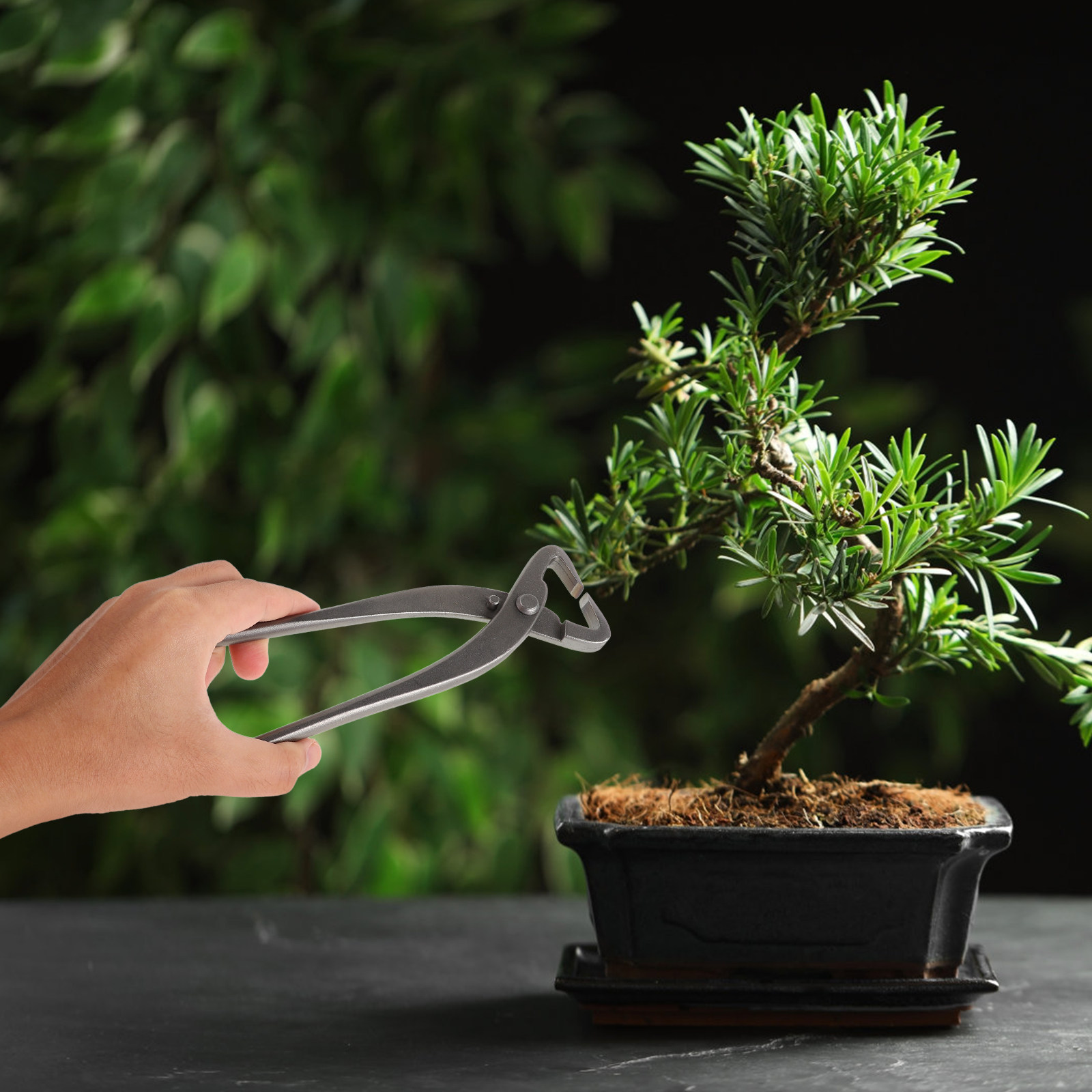 Bonsai Pruning Shears Branch S - огляд і ціна Bonsai Garden Knife