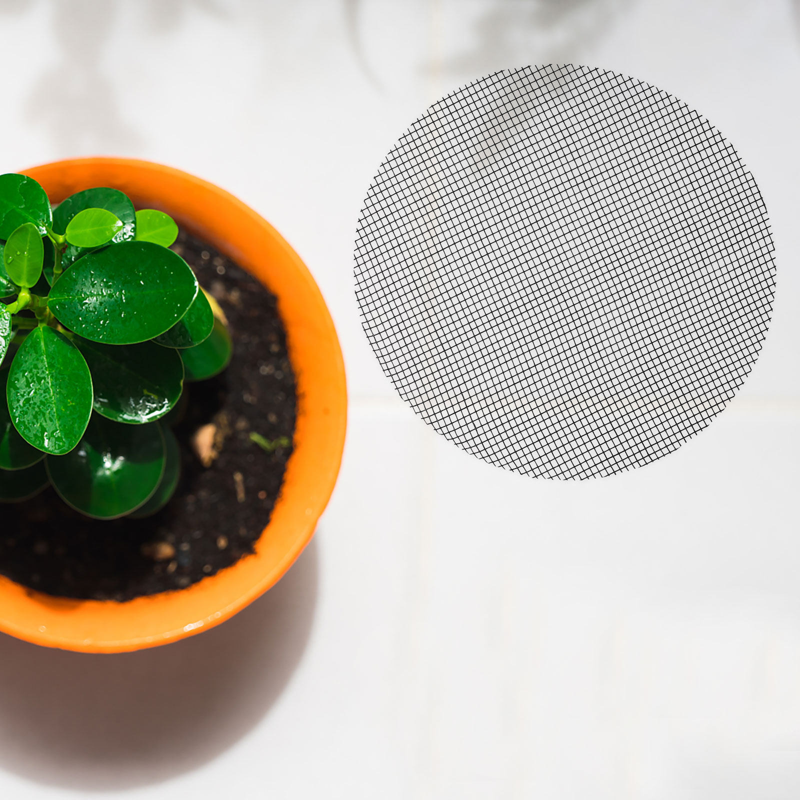 50Pcs Flower Pot Hole Mesh Pad - огляд і ціна Bonsai Garden Pot