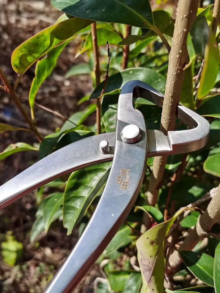 Professional Bonsai Tool Set   - огляд і ціна Concave Branch Cutter