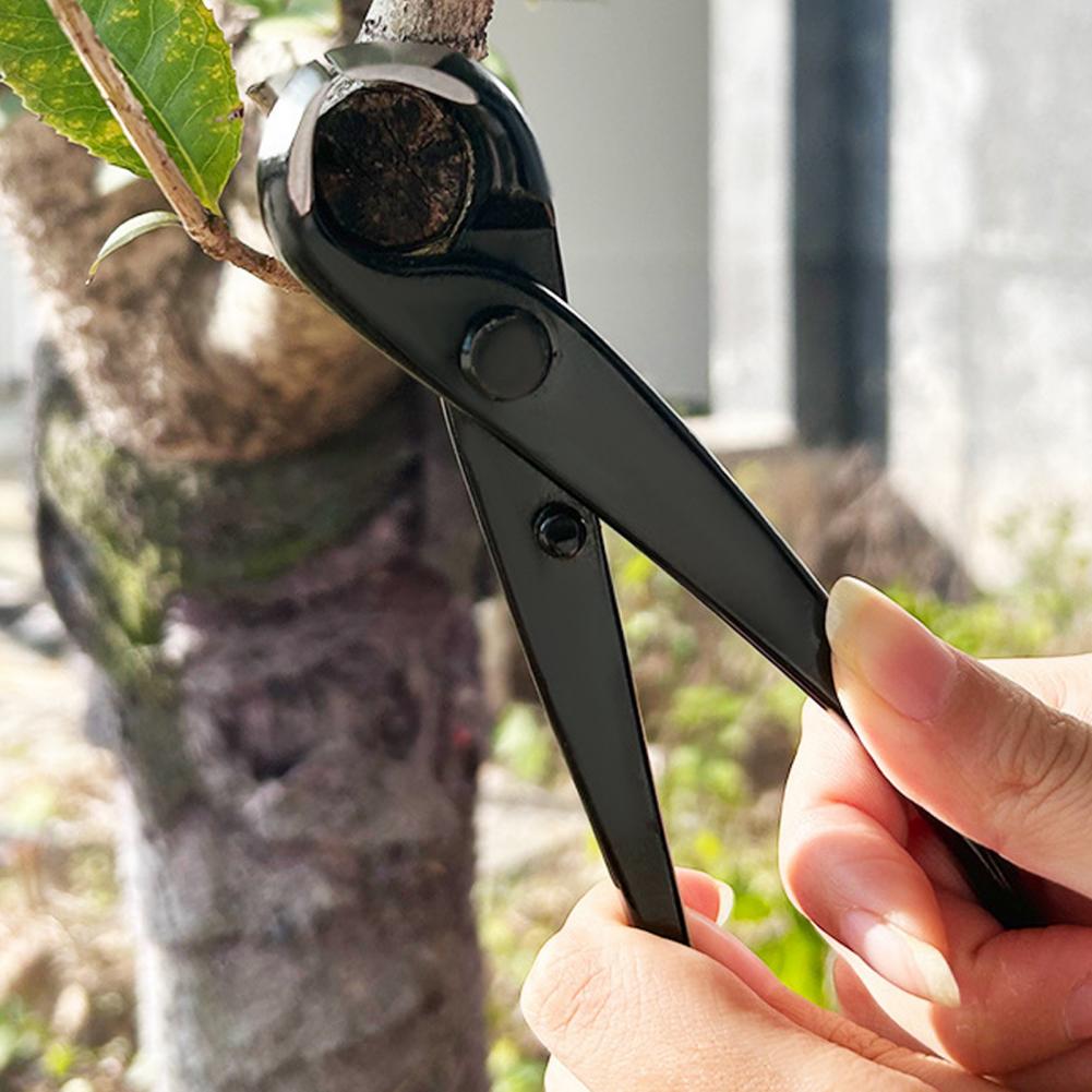 Bonsai Concave Branch Cutter M - огляд і ціна Concave Branch Cutter