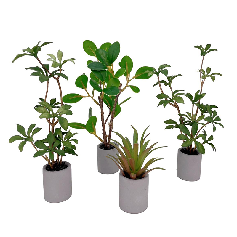 1:6 Dollhouse Miniature Potted - огляд і ціна Bonsai Garden Pot