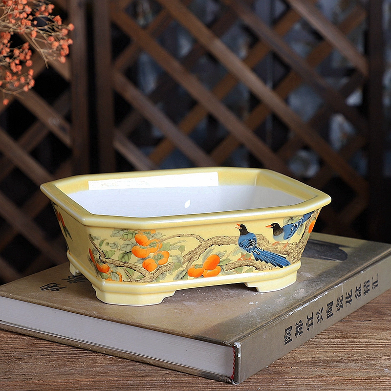 Porcelain Rectangle Bonsai Pot - огляд і ціна Bonsai Garden Table