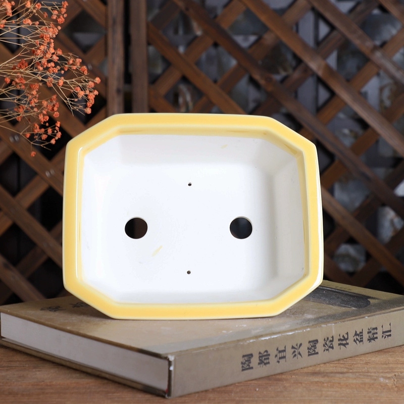 Porcelain Rectangle Bonsai Pot - огляд і ціна Bonsai Garden Table