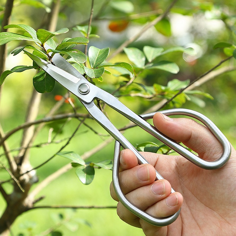 Tender Leaf Scissors Bonsai To - огляд і ціна Concave Branch Cutter
